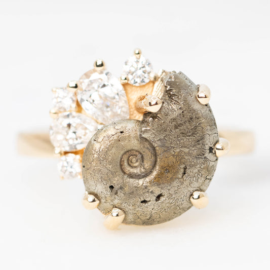 Calypso Ring with a 4.00 Carat Ammonite Fossil and White Accent Diamonds in 14k Champagne Gold - Ready to Size and Ship