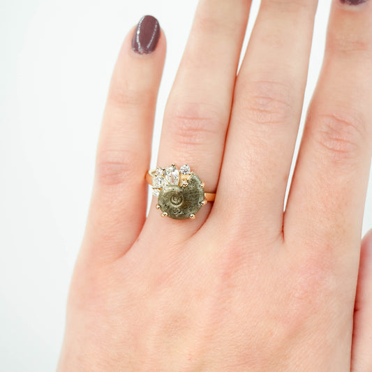 Calypso Ring with a 4.00 Carat Ammonite Fossil and White Accent Diamonds in 14k Champagne Gold - Ready to Size and Ship